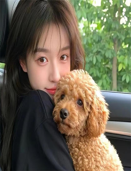 《魂断蓝桥英文版》娱乐指数：观赏性与娱乐价值综合评价，特别收录