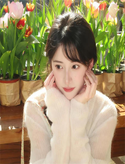 《大事件2004》有哪些精彩看点？亮点情节详细解析